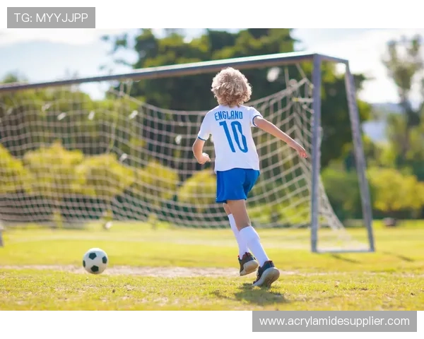 足球明星装饰图案全景展示汇总让你的空间充满运动激情与活力