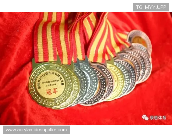 重庆羽毛球队总决赛个人能力分析与表现评估 重庆羽毛球队总决赛个人能力分析与表现评估