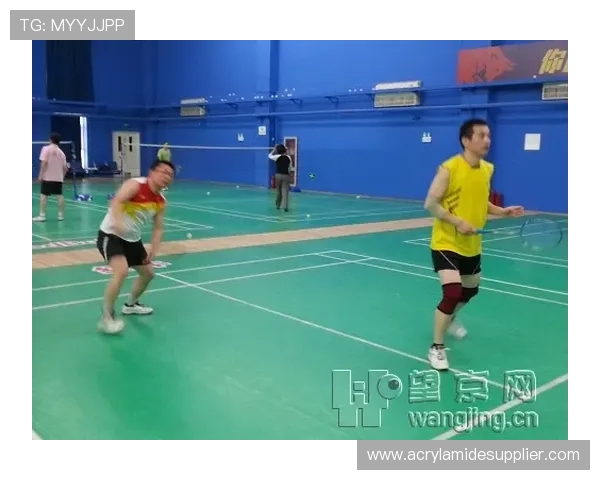 黄敏独家分享羽毛球技巧与心得助你提升竞技水平与乐趣 黄敏独家分享羽毛球技巧与心得助你提升竞技水平与乐趣