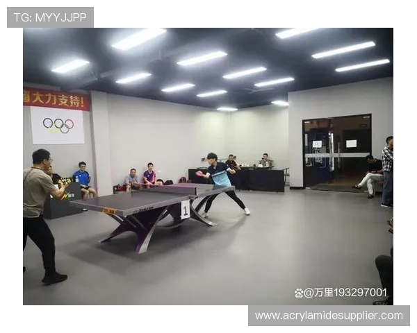 乒乓球盛宴：深入西安乒乓球队的速度与激情之旅