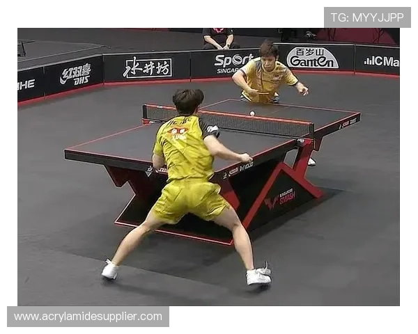 北京排球队以97分领跑大满贯积分榜展现强劲实力