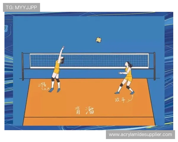 杭州排球队快攻战术解析及其在比赛中的应用与优势探讨